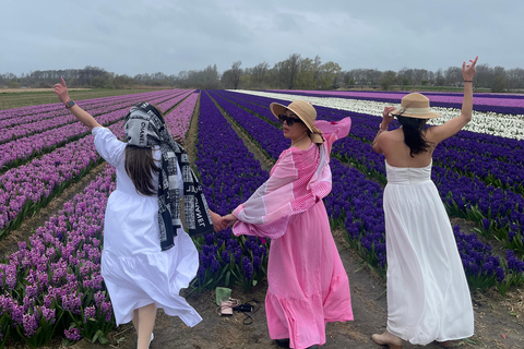 Lisse: Private Tulip Fields Tour with a Local Guide 1h Tour