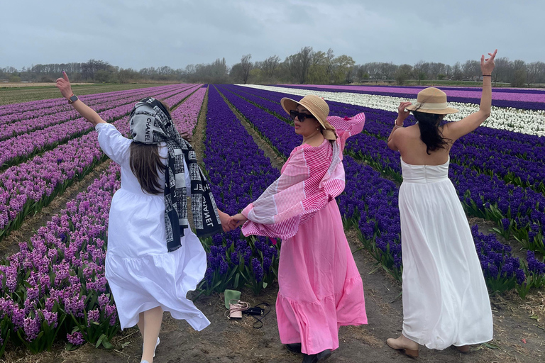 Lisse: Private Tulip Fields Tour with a Local Guide 1h Tour