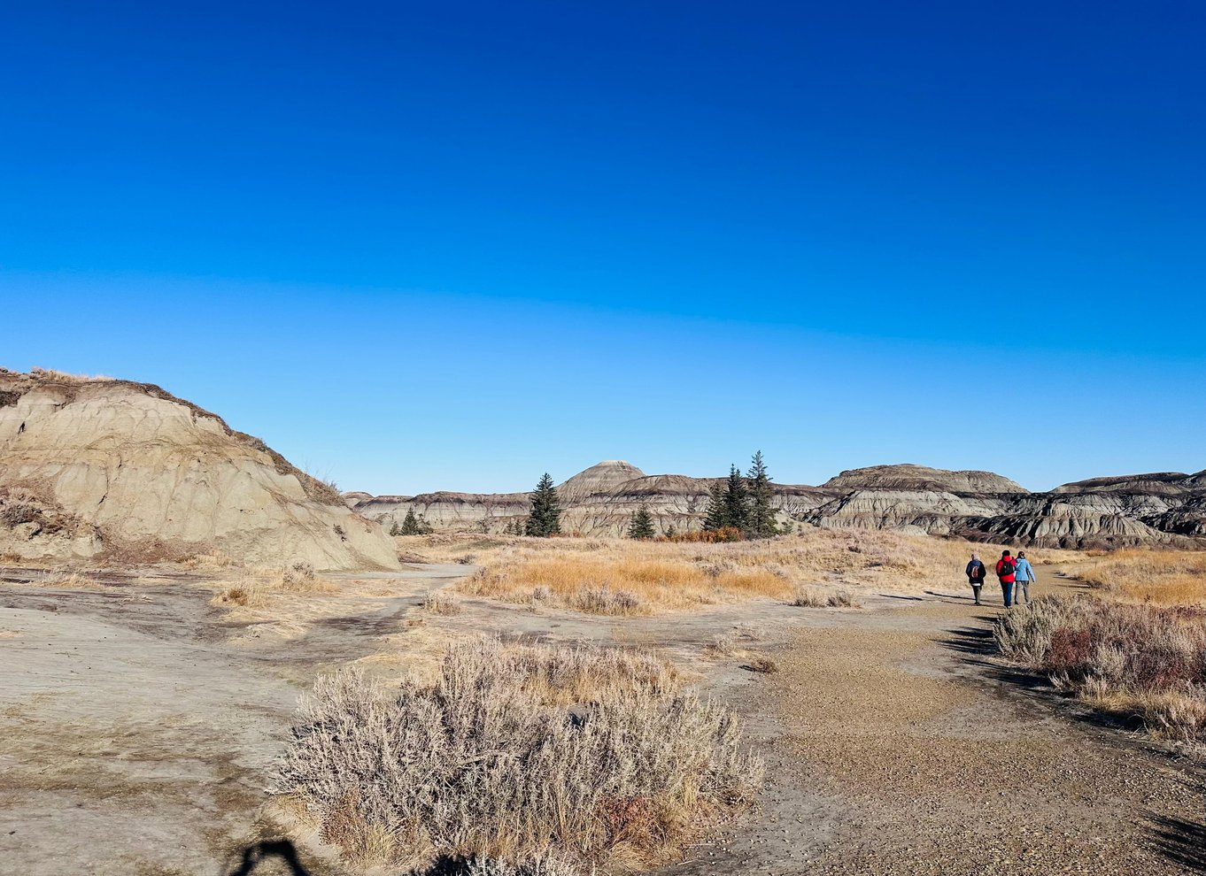Badlands-tur: Drumheller med museum, hoodoos og dinosaurer