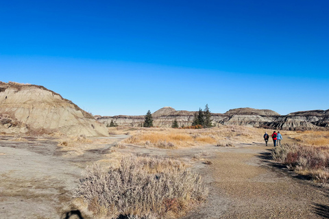 Badlands Tour: Drumheller with Museum, Hoodoos & Dinosaurs Booking Option for Summer 2026
