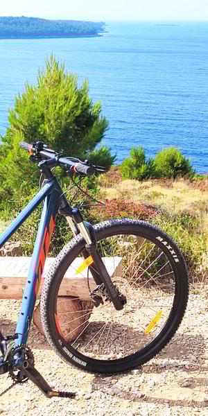 Bicycle Vtt Bh Spike 29 Bleu Mountain Bike Vtt Bh Expert Bh Expert