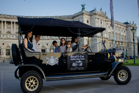 Viena: Tour turístico privado en coche eléctricoTour nocturno privado de 60 minutos (con bebidas)