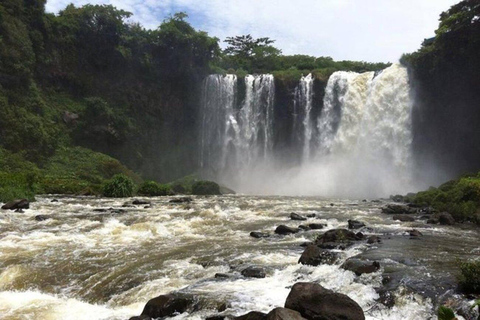 Veracruz: Catemaco und Los Tuxtlas Natur-Tour