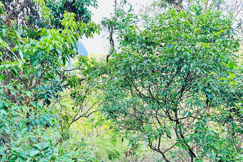 2-tägige Ha Long Bay Island Cruise Tour mit einem 3-Sterne-Kreuzfahrtschiff