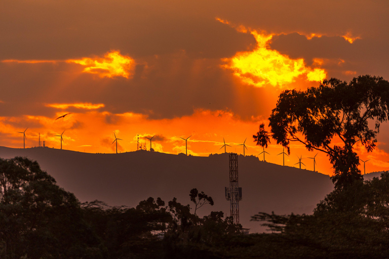 Nairobi: Wandeling door de Ngong Hills met vervoer en gids