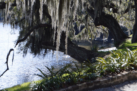 A Day at Magnolia Plantation