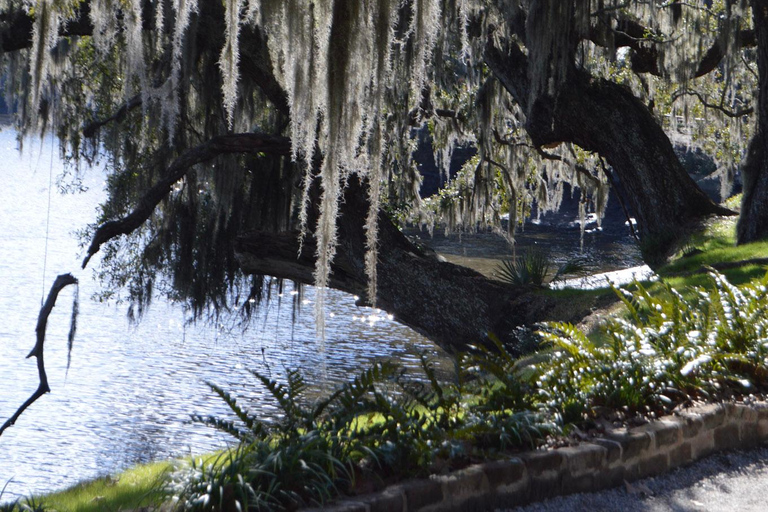 A Day at Magnolia Plantation