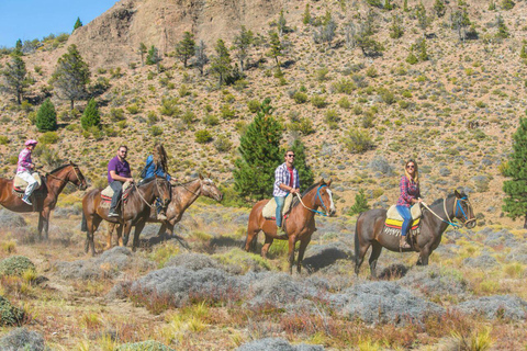 Bariloche: Guided horseback rides in the Patagonian steppe