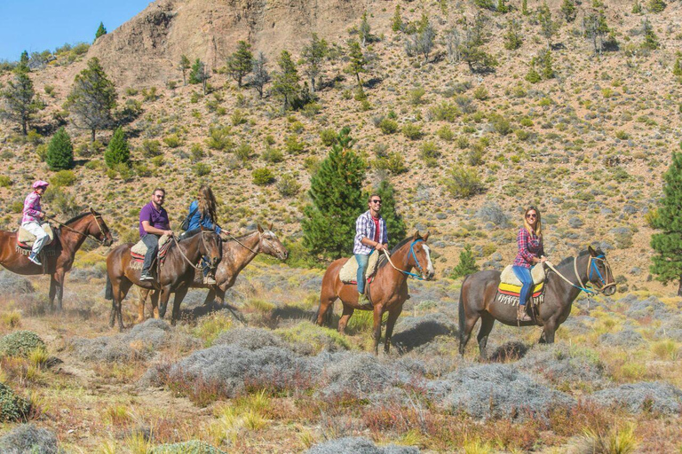 Bariloche: Guided horseback rides in the Patagonian steppe