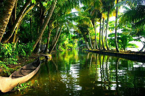 From Mumbai: Alappuzha Backwater Houseboat Cruise with Meals