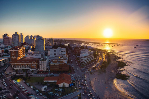 Punta del Este : visite des points forts, dégustation et transfert inclus