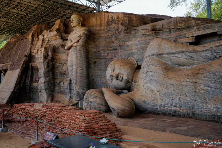 Polonnaruwa: Ancient City Tour & Minneriya Elephant Safari Pickup From Dambulla/Sigiriya/Habarana