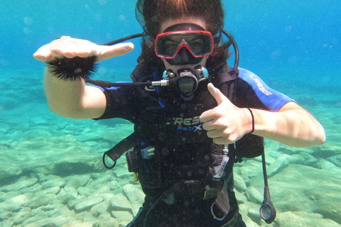 Heraklion: Scuba Diving Experience for Beginners Scuba diving course - without transfer