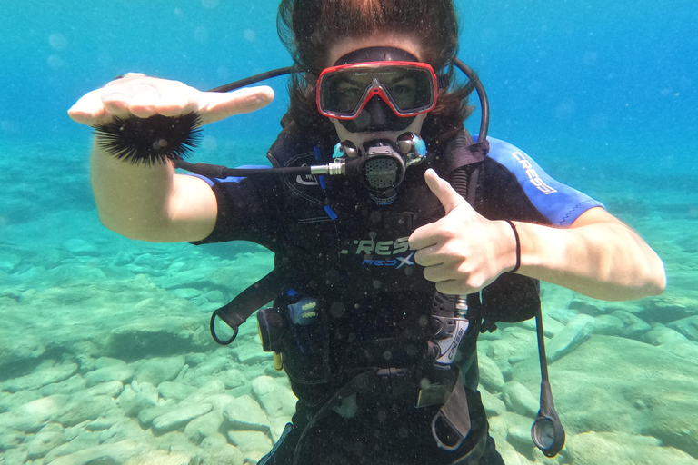 Heraklion: Scuba Diving Experience for Beginners Scuba diving course - without transfer
