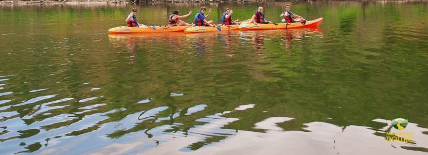 Pinhão : location de kayaks pour 4 heures dans la vallée du Douro