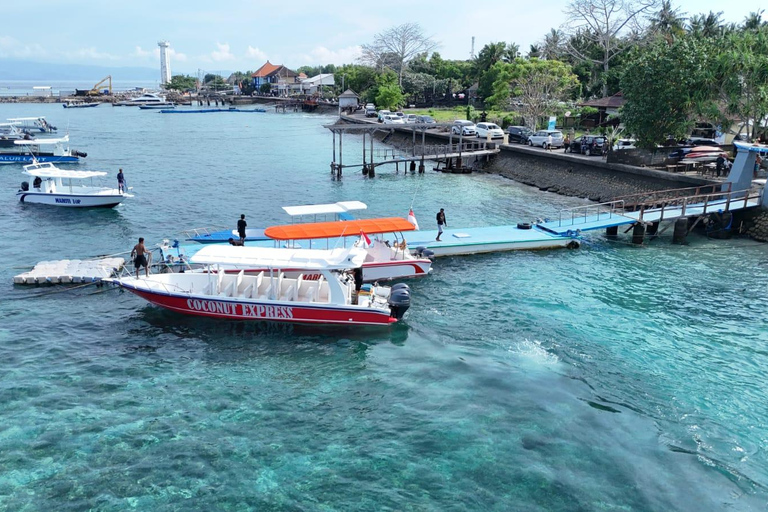 Nusa Penida: 3-Spot Snorkeling at SD, Gamat & Wall Nusa Penida hotel pickup