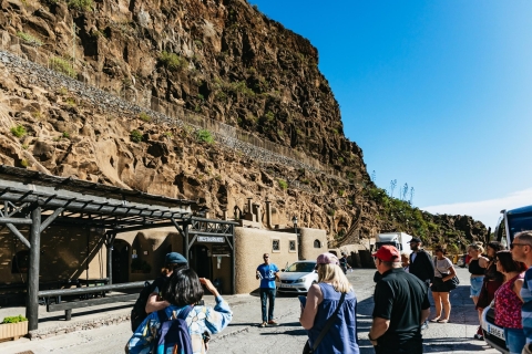 Vanuit Las Palmas: rondleiding de schatten van Gran Canaria
