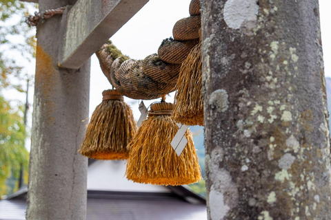 Kanazawa: Shirakawa-go privé-dagtour met lunch