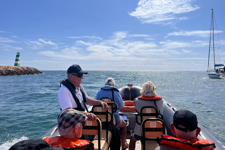 De Portimão : Observation des dauphins et du littoral de Lagos avec un biologiste