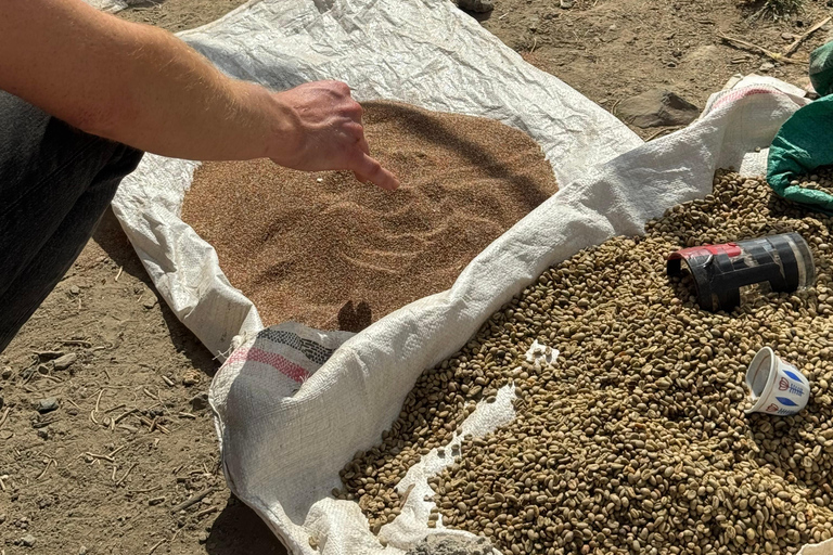 Addis Ababa: Entoto Forest, Villages, and Lunch Tour