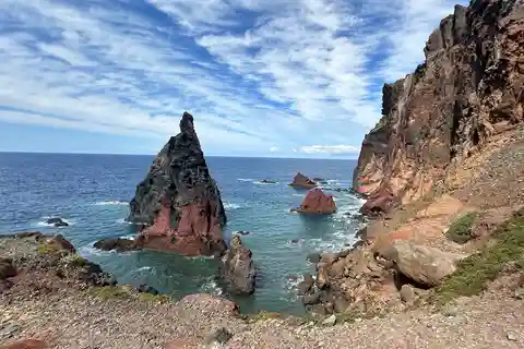 Ovest di Madeira: tour guidato con la Foresta di Fanal