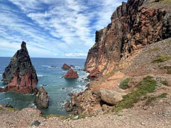 Het westen van Madeira: rondleiding met Fanal Forest