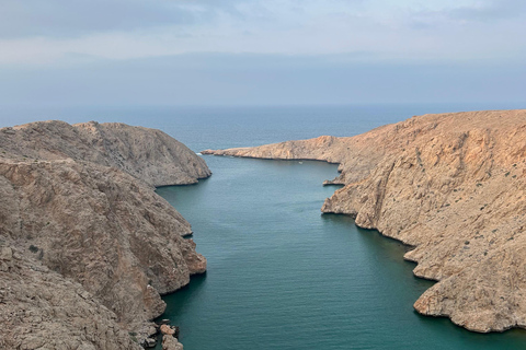 Muscat: Dolphin Watching and Snorkeling Tour Muscat: Dolphin Watching and Snorkeling Tour