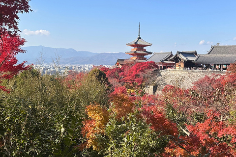 Wycieczka po Kioto: Sanjusangendo, Kiyomizudera, pagoda Yasaka i Ginkakuji.