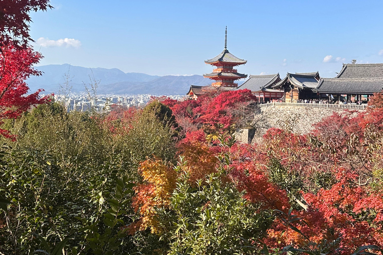 Wycieczka po Kioto: Sanjusangendo, Kiyomizudera, pagoda Yasaka i Ginkakuji.