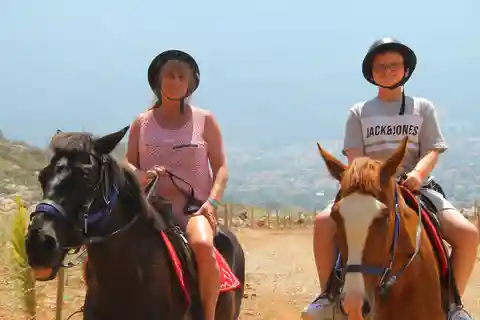 Pferde-Safari