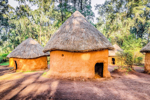 Nationaal Museum van Nairobi, Giraffe Centre en Bomas van Kenia