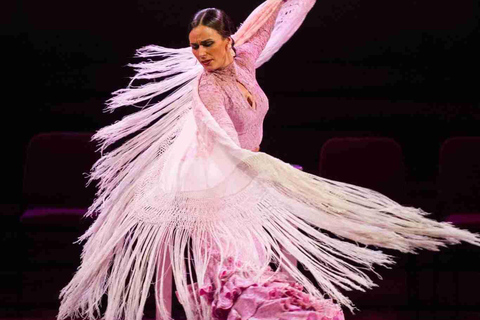 Blue Pass: Plaza de Toros and flamenco show with tapa and drink included