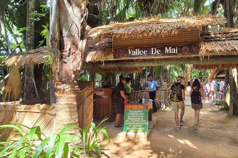 Mahé: Southern Coast Tour with Lunch & Rum Distillery Visit
