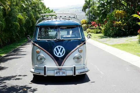 Maui: South Maui VW Bus Tour with Brewery Lunch