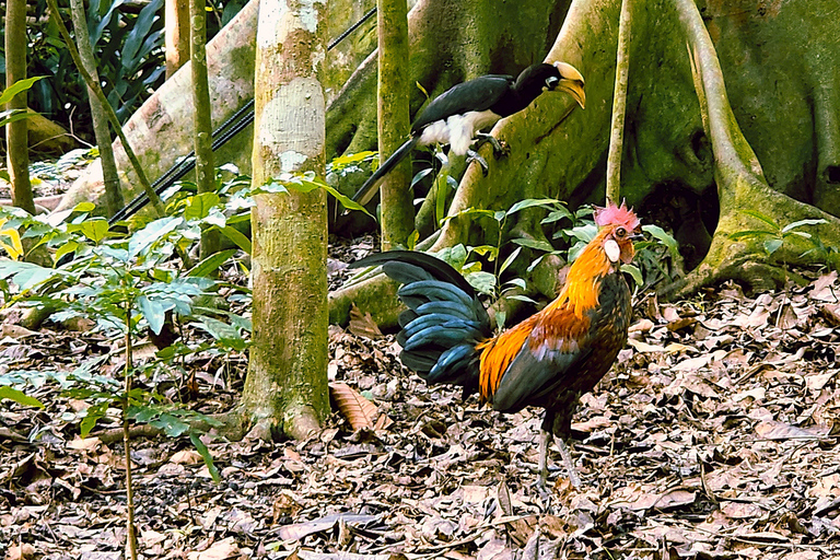 Singapore: Unravel Hidden Gems in a Private Customized Tour Private Customized Tour - 2 hours