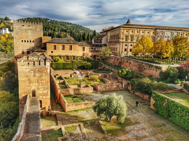 Alhambra: Guided Tour of the Public Areas