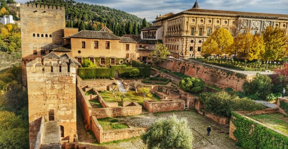 Alhambra: Guided Tour of the Public Areas