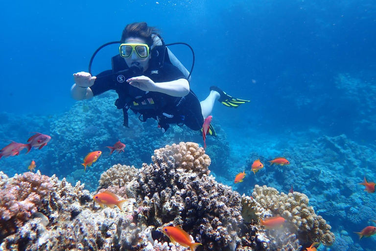 Sahl Hasheesh Elite Beach Dive & Coral Reef Experience
