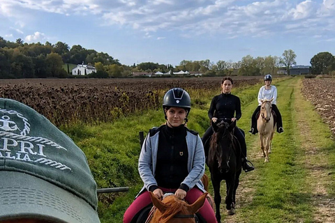 Hills of Pisa: Horseback Riding with Lunch or Dinner in a Restaurant 2-hour ride with lunch or dinner