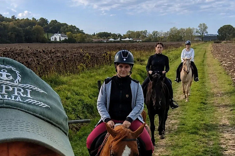 Hills of Pisa: Horseback Riding with Lunch or Dinner in a Restaurant 2-hour ride with lunch or dinner