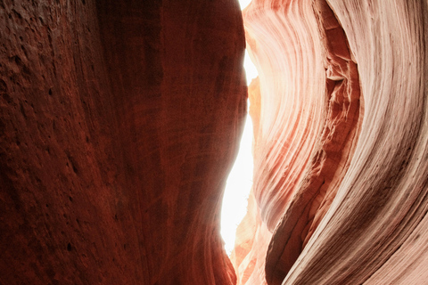 Kanab: Peek-A-Boo and Great Chamber UTV Guided Tour
