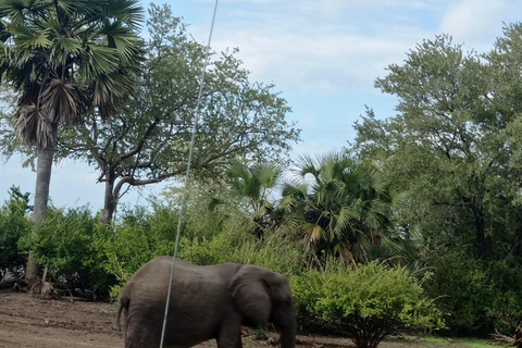 4-daagse zuidelijk Tanzania Udzungwa en Mikumi NP