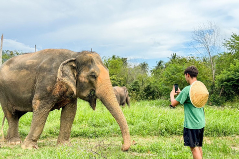 Koh Samui: Ethical Elephant Home Guided Tour with Transfers