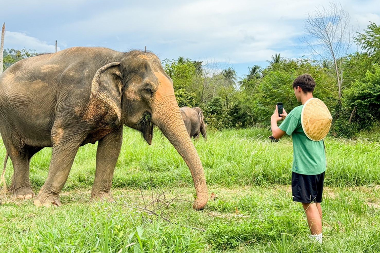 Koh Samui: Ethical Elephant Home Guided Tour with Transfers