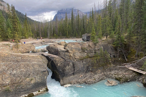 路易斯湖、翡翠湖、大理石峡谷、班夫镇班夫：路易斯湖、翡翠湖与约翰斯顿峡谷一日游