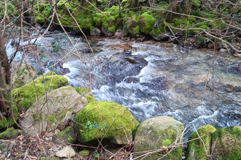Roads from Tui to Santiago Compostela