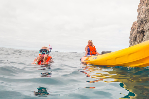 Tenerife: Kayak & Snorkeling Tour - Small Groups