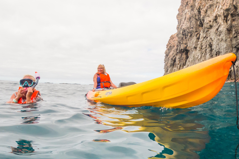 Tenerife: Kayak & Snorkeling Tour - Small Groups