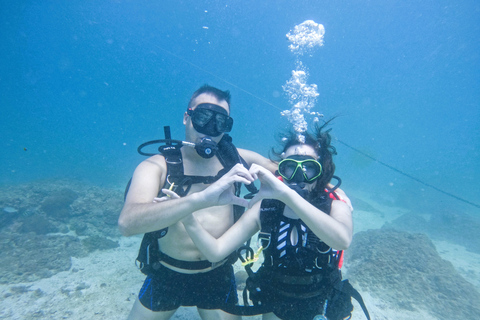 Día completo de buceo Discovery en Fujairah con almuerzo barbacoa