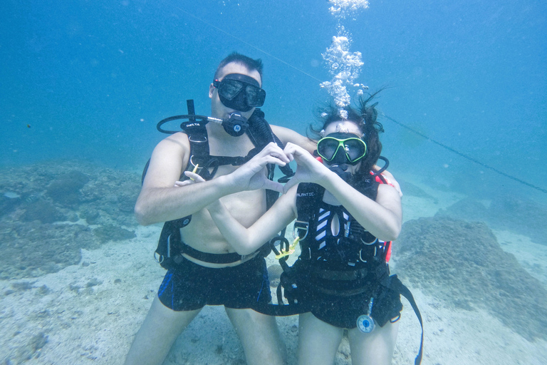 Vanuit Abu Dhabi: Duiken en snorkelen met BBQ, Transfer